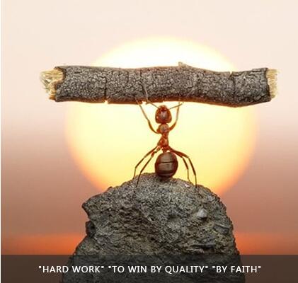 壹定发(中国集团)官方网站