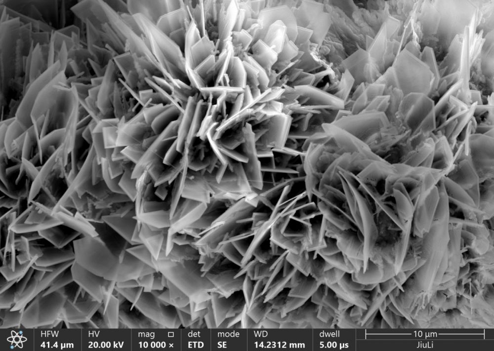 壹定发(中国集团)官方网站